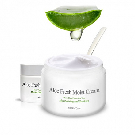 Крем для лица увлажняющий с алоэ The Skin House линейки Aloe Fresh Moist Cream, 50 мл, фото